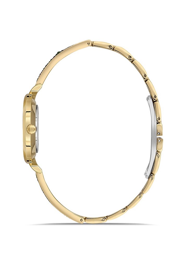 Momentus SW274G-15SG Kol Saati