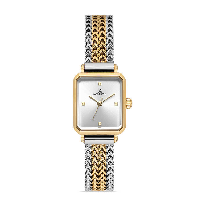 MOMENTUS CW320G-02TG