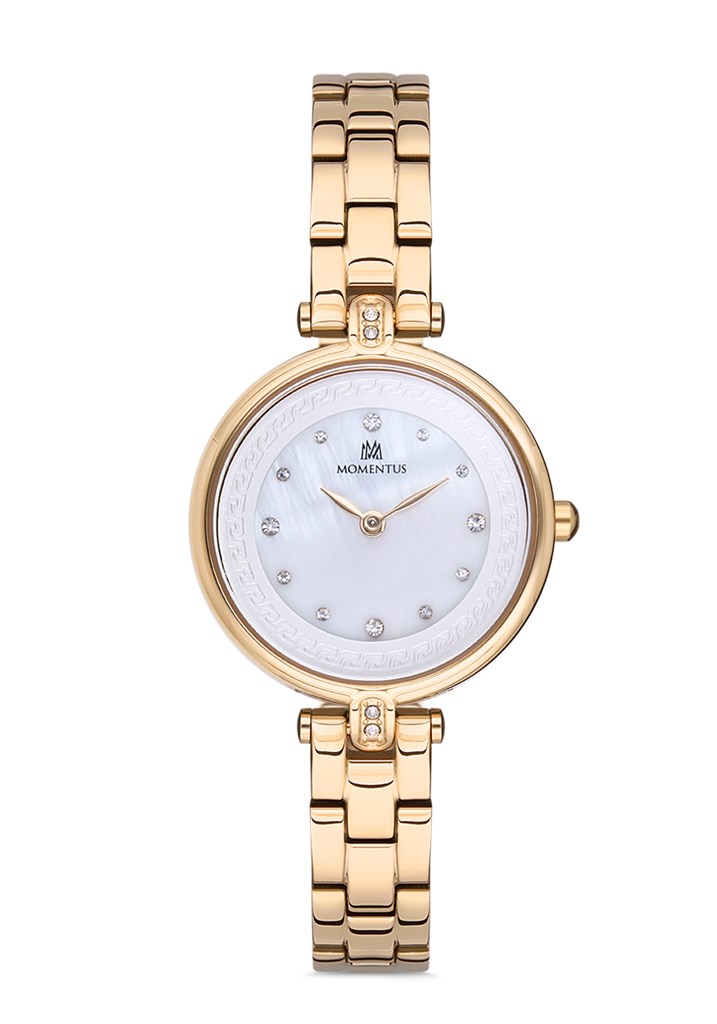 MOMENTUS SW256G-08SG