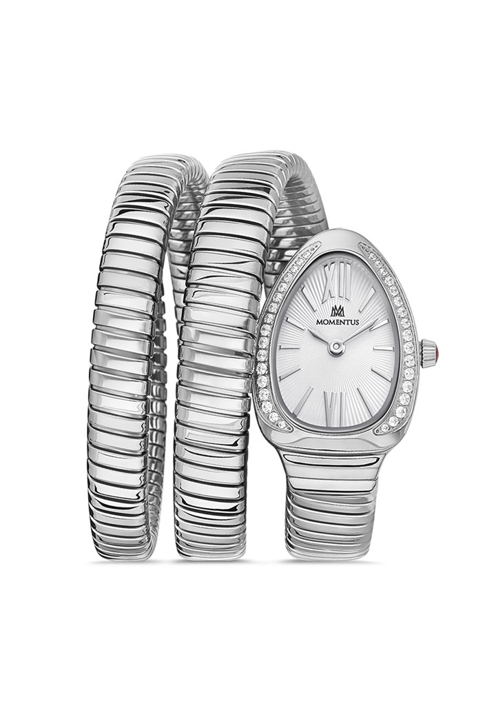 Momentus SS256S-02SS Kol Saati