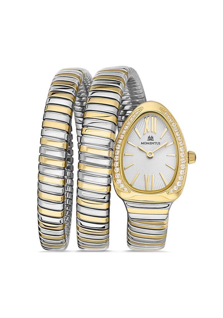 Momentus SS256T-02SG Kol Saati