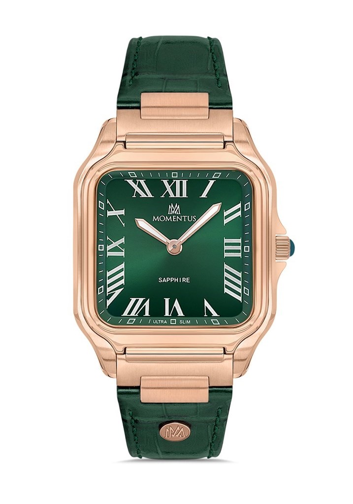 Momentus EM348R-15YR Kol Saati