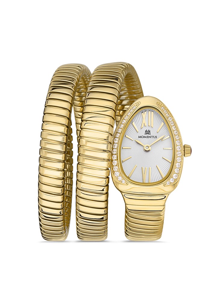 Momentus SS256G-02SG Kol Saati