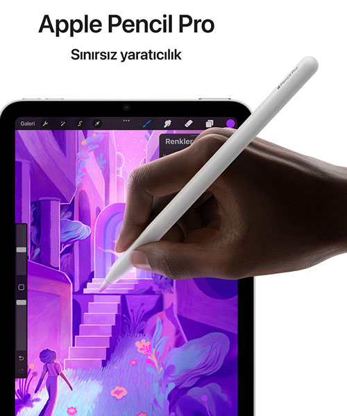 iPad Mini Wi-Fi + CL 128Gb Uzay Grisi