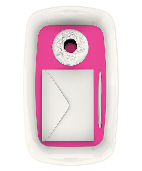 Leitz MyBox® Kapaklı Küçük Saklama Kutusu 52291023 Pembe-Beyaz