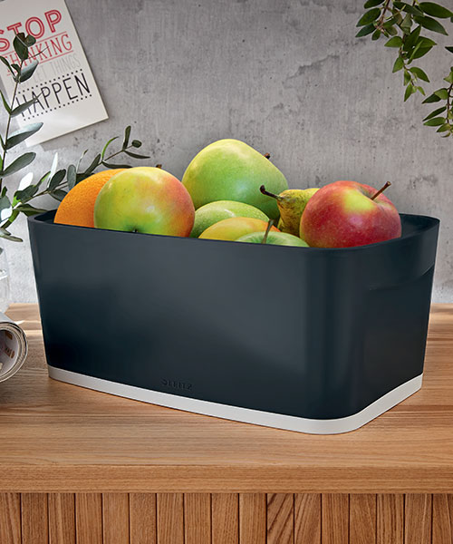 Leitz Cosy  MyBox®  Kapaklı Küçük Saklama Kutusu  52630089 Gri
