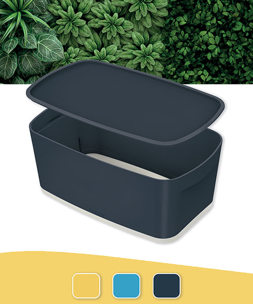 Leitz Cosy  MyBox®  Kapaklı Küçük Saklama Kutusu  52630089 Gri