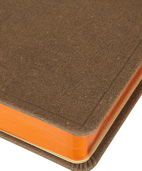 Victoria Journals 5 Yıllık Tarihsiz Vintage 1082